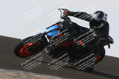 media/Nov-02-2025-Lets Ride (Sun) [[f7a3caa734]]/A Group/11am (Turn 2 Inside)/